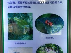 -上海昆虫博物馆