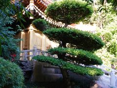 -深圳国际园林花卉博览园