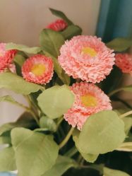 -薇兰专业脱毛连锁机构