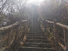 -秦岭终南山世界地质公园翠华山景区