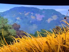 -中影国际影城(东方新天地CINITY店)