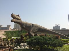 -陕西自然博物馆