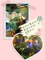 -恐龙探索乐园(磁器口店)