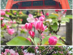 -元大都城垣遗址公园