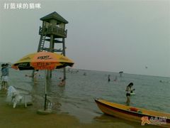 -碧海金沙