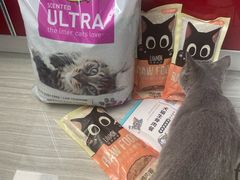 -艾贝尔宠物诊疗