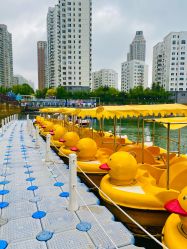 -星海水上乐园(星海广场圣亚店)