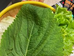 -丰茂烤串(金源店)