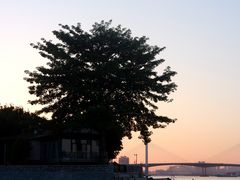 -喜洲吧·江畔老船厂·庭院餐厅(喜临院店)