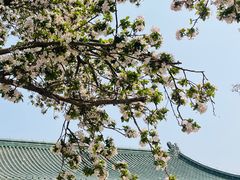 -天津大悲禅院