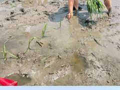 -中国天府农业博览园