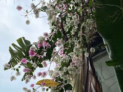 -深圳国际园林花卉博览园