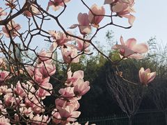 -仁和公园(顺义区)