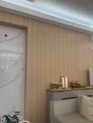 -上海伊莱美医疗美容医院