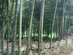 -众神白水涧景区