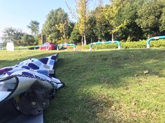 -铁山坪森林公园