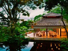 -思念果岭悦温泉