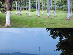 -鼓浪屿内厝澳码头(轮渡站)