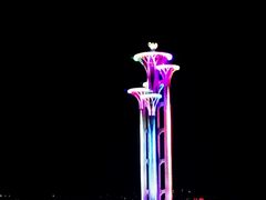 -国家会议中心大酒店