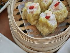 招牌烧麦皇-添运来(茶园奥园广场店)