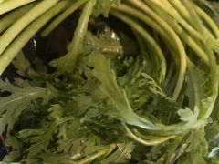 -捞王猪肚鸡火锅(昆山店)