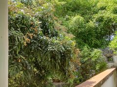 -广州神农草堂中医药博物馆