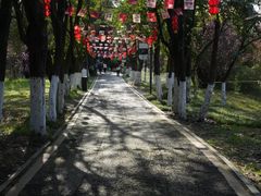 -花溪公园