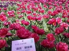 -国家植物园