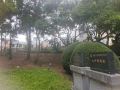 -宋井风景区