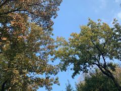 -北极阁公园