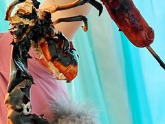 -安德鲁户外烧烤帐篷营地(马泉营店)