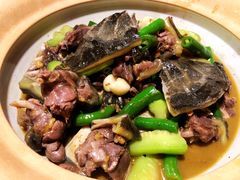 口味甲鱼-湘里乡亲甲王二老店
