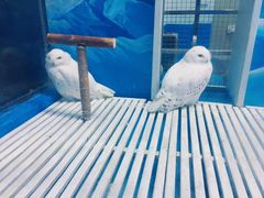 -成都浩海立方海洋公园