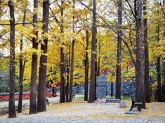 -阳台山自然风景区