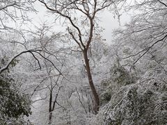 -紫金山山顶公园