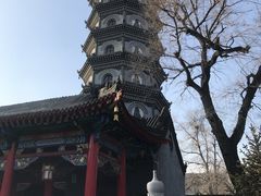 -哈尔滨极乐寺