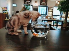 -肆兮眼镜·蔡司·徕卡战略合作店(大坪店)