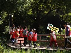 -成都市活水公园