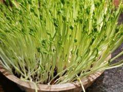 -番食园鲜食火锅(高新店)
