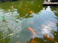 -华南师范大学(广州大学城校区)