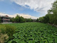-莲池书院博物馆