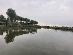 -南大港湿地风景区