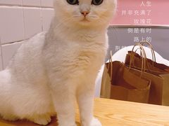 -品味楼·醉卤·酱排骨·无锡特色菜
