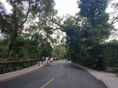 -梧桐山风景名胜区