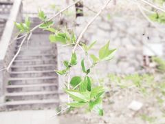 -天津盘山风景名胜区