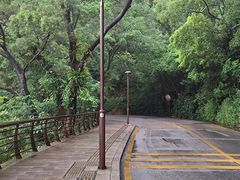 -深圳仙湖植物园
