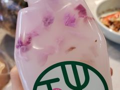 -宝珠奶酪(浦东金桥店)