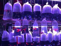 -华声天桥民俗文化园