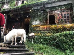 -巴倒烫陆派火锅山庄(南山总店)