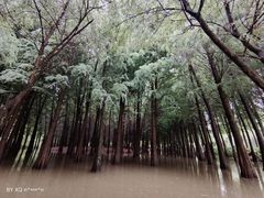 -捞渔河湿地公园